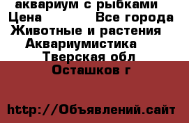 аквариум с рыбками › Цена ­ 1 000 - Все города Животные и растения » Аквариумистика   . Тверская обл.,Осташков г.